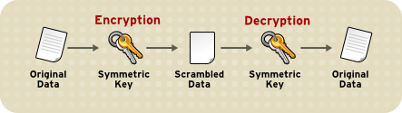 Figure 1. Symmetric-Key Encryption