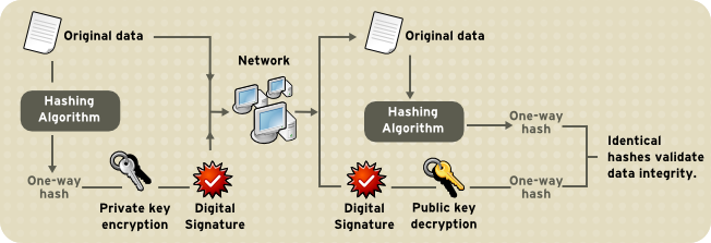 Figure 3. Using a Digital Signature to Validate Data Integrity