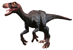 Image:raptor.jpg